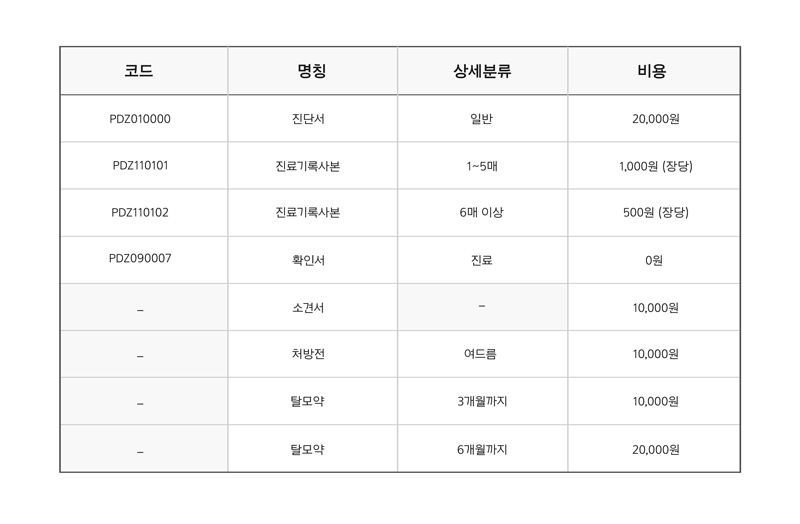 비급여-진료비용-라미슈-수정.png